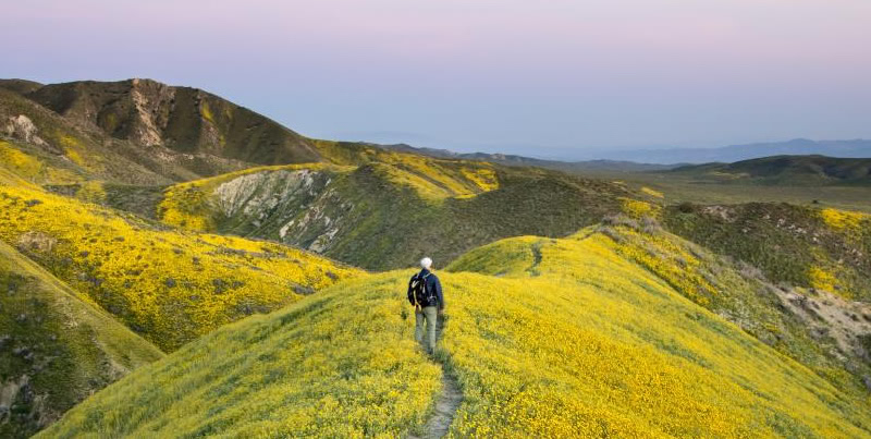 Carrizo Plain