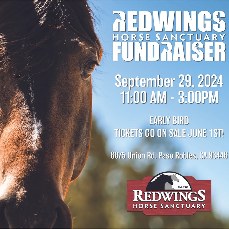 Redwings Horse Sanctuary